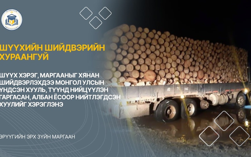 ШҮҮХ ХЭРЭГ, МАРГААНЫГ ХЯНАН ШИЙДВЭРЛЭХДЭЭ МОНГОЛ УЛСЫН ҮНДСЭН ХУУЛЬ, ТҮҮНД НИЙЦҮҮЛЭН ГАРГАСАН, АЛБАН ЁСООР НИЙТЛЭГДСЭН ХУУЛИЙГ ХЭРЭГЛЭНЭ